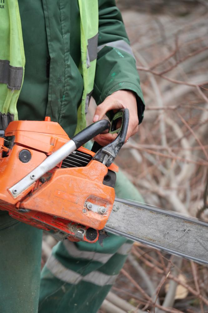 Why Tree Trimming is Essential