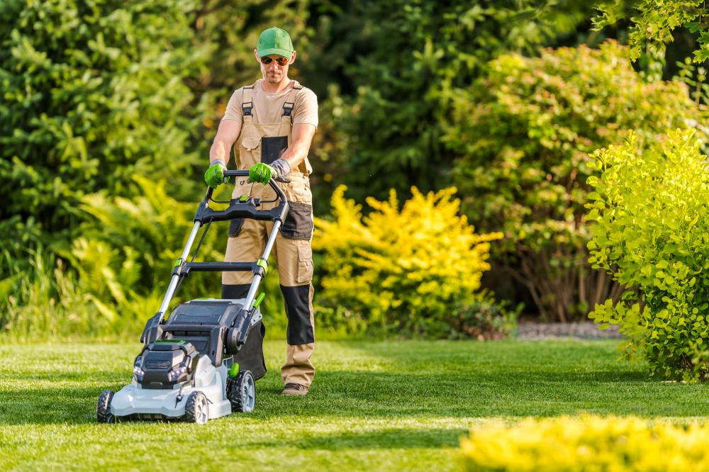 Why Maintaining Your Lawn Matters