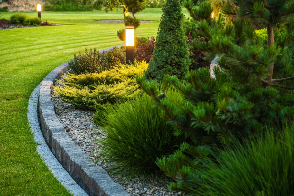 Behind the Scenes: Crafting Your Perfect Landscape