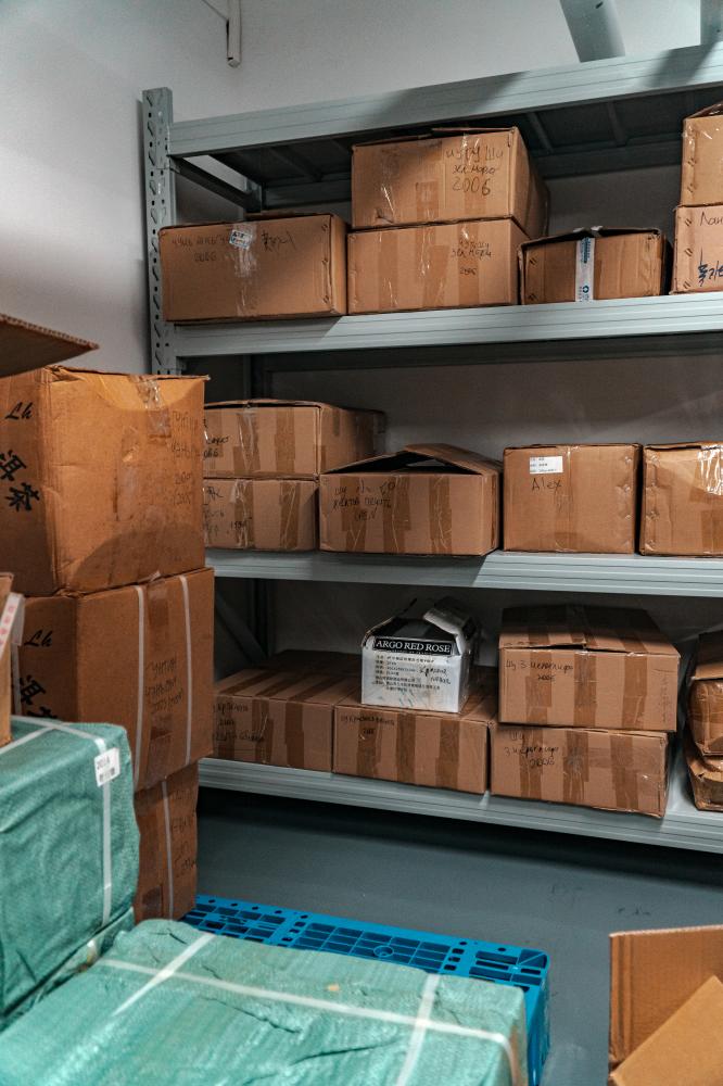What Are the Advantages of First Floor Storage Units in West Columbia?