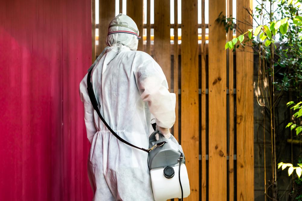 Our Approach to Pest Control