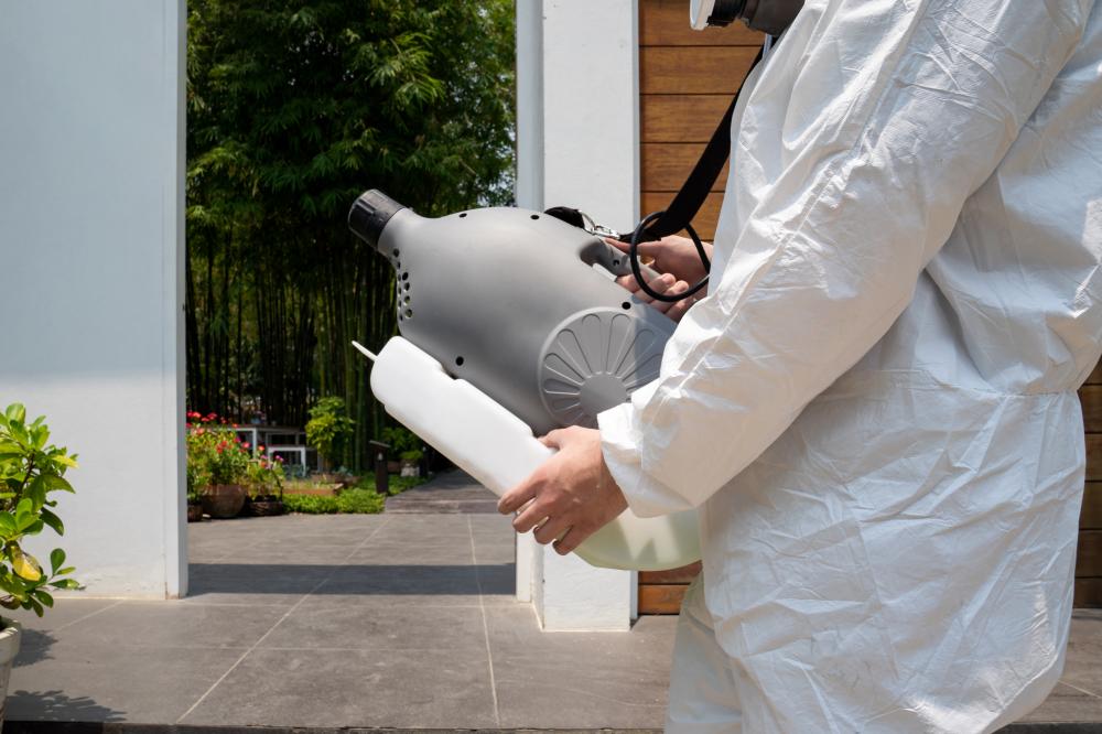 Choosing the Right Pest Control Service