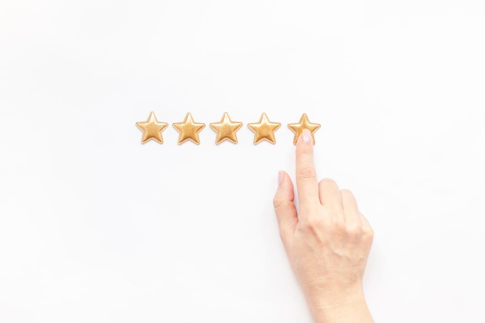 The Importance of Domain Rating