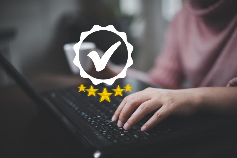 Why Is Domain Rating Important?