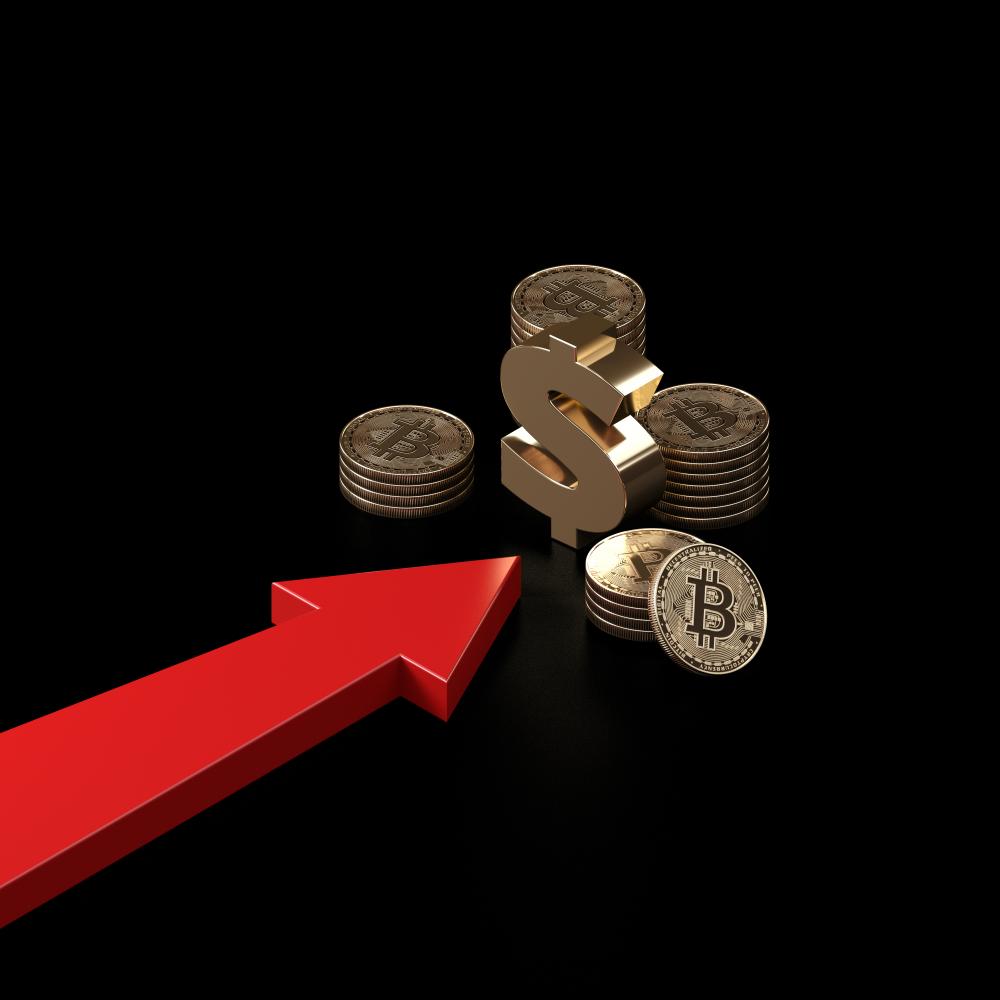 Best Practices for Acquiring Premium Domains