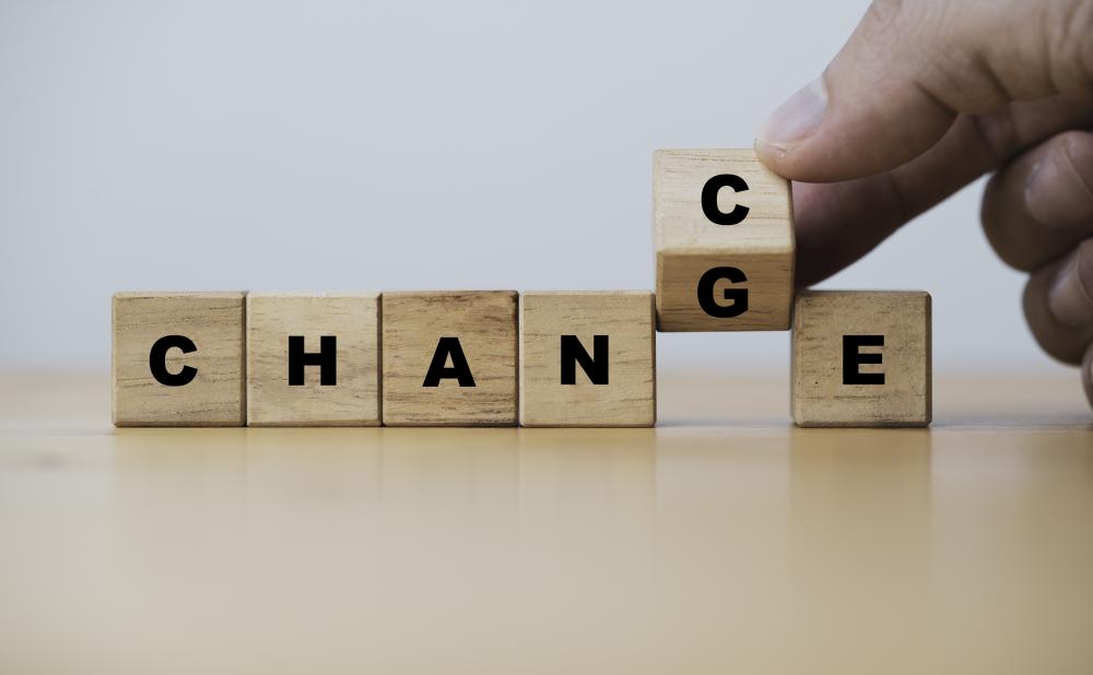 Does SEO Domain Change Affect Rankings?