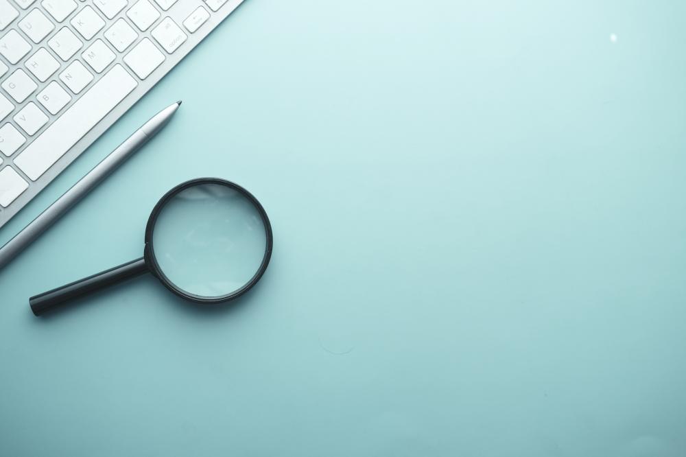 Why Domain Authority Matters in SEO