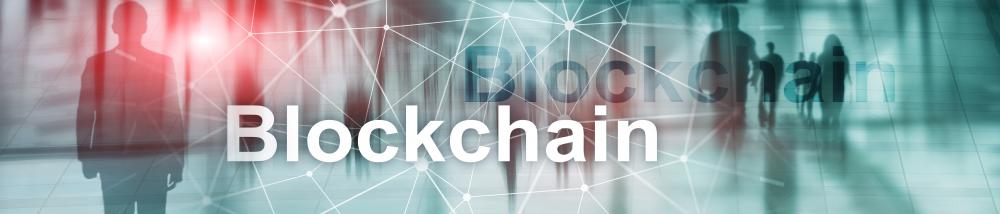 Benefits and Challenges of Blockchain Domains