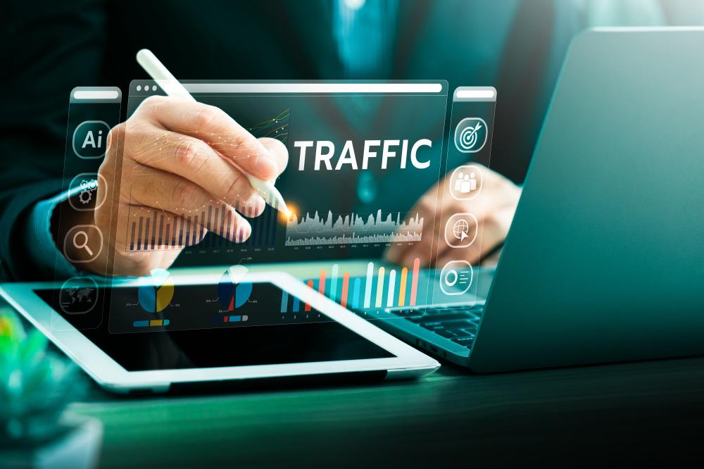Why Choose Domains with Traffic?