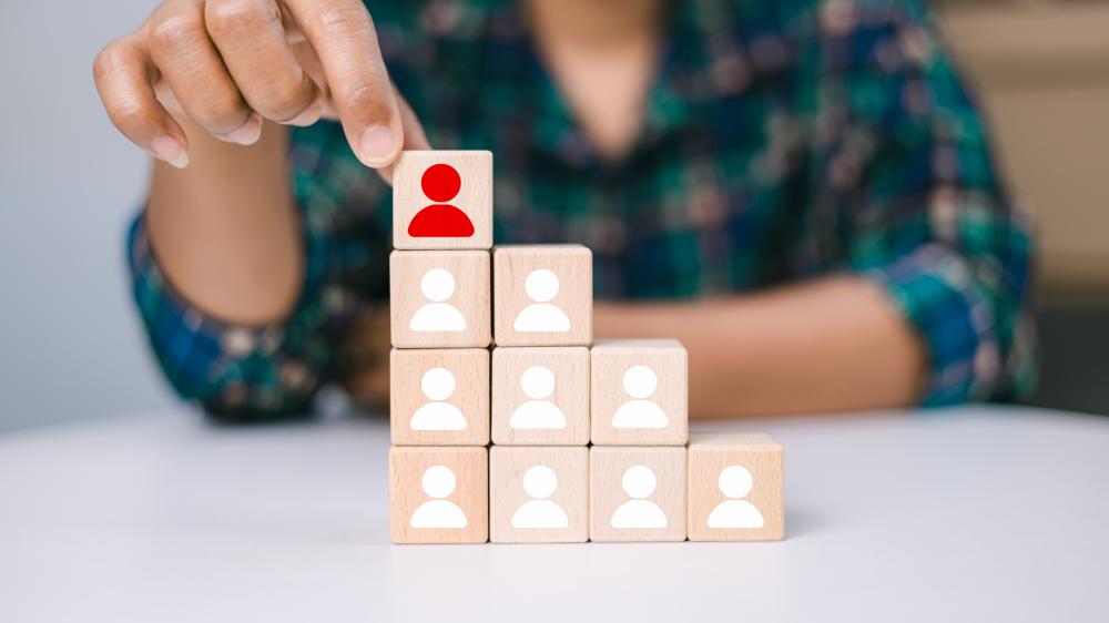 What Affects Domain Authority?