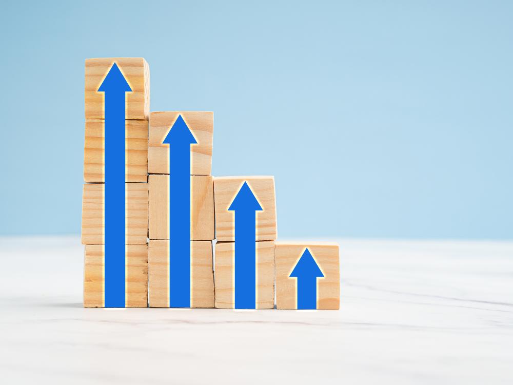 Building High-Quality Backlinks