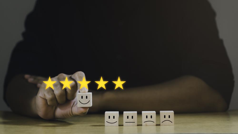 What Influences a Domain Spam Rating?