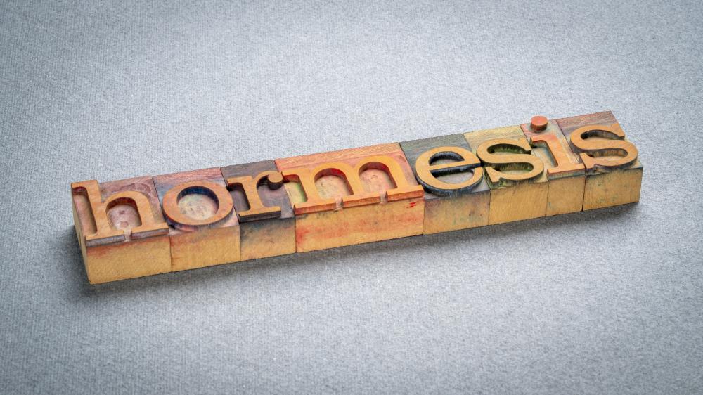 Why Domain Authority Matters