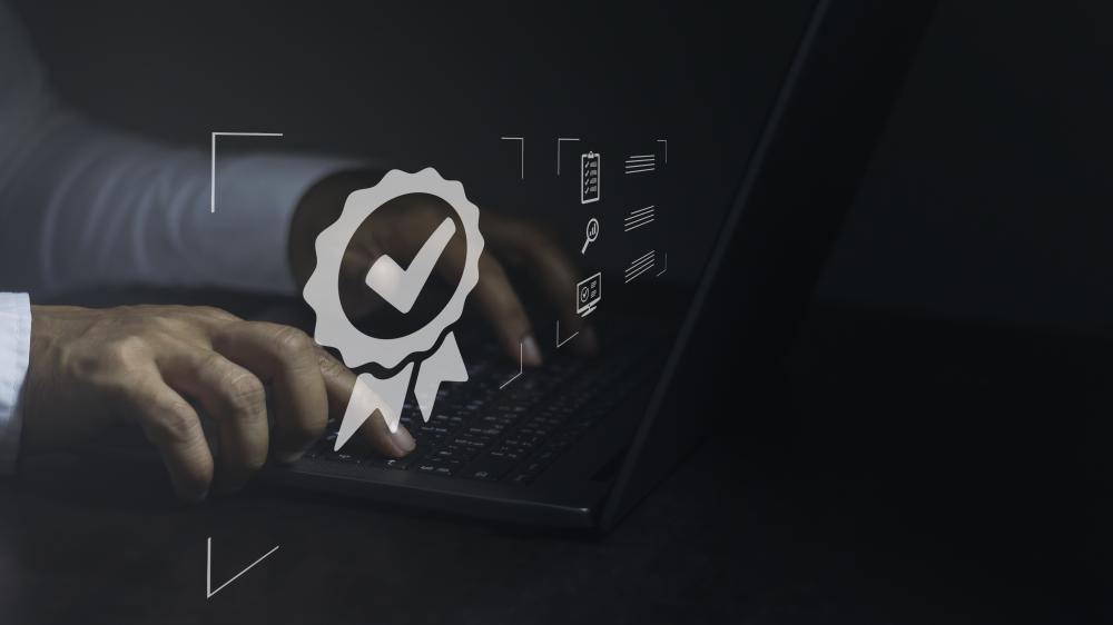 Why Domain Rating Matters