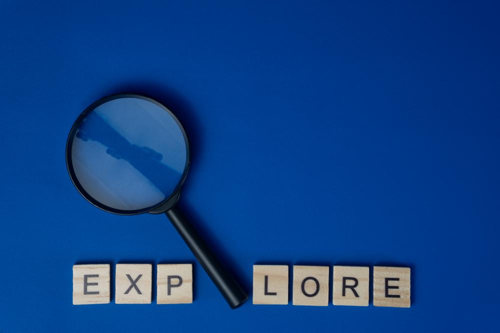 How to Evaluate Expired Domains