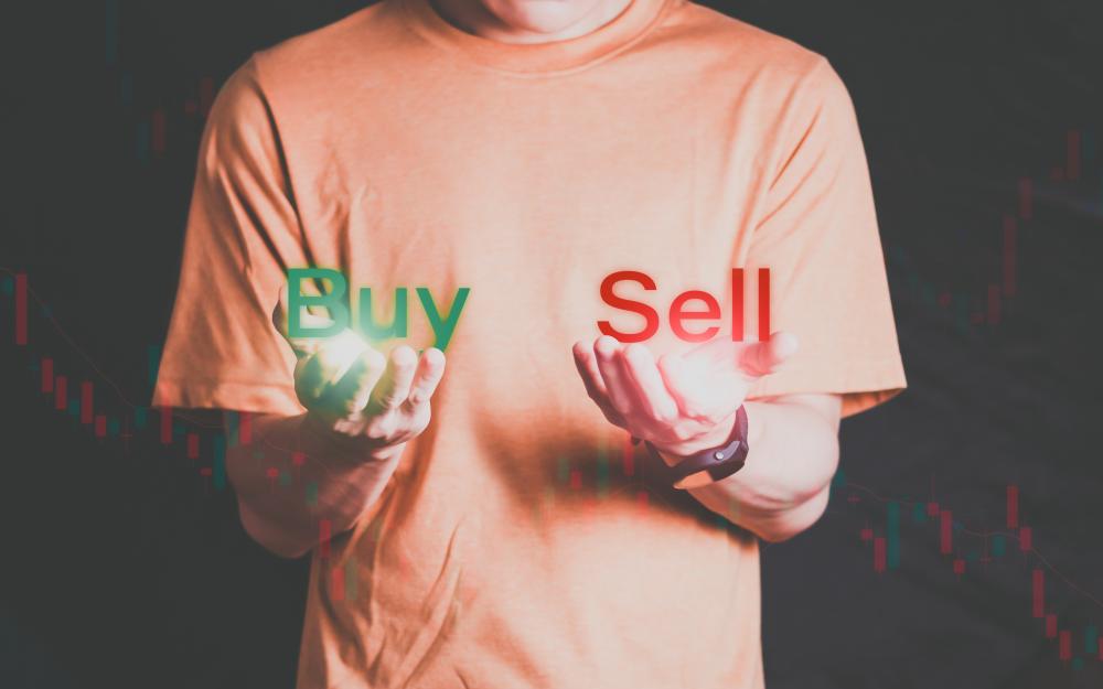 The Art of Domain Flipping