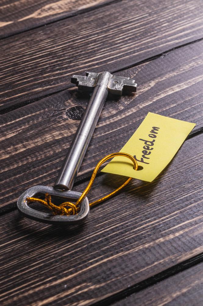 Strategies for Selecting the Right Domain