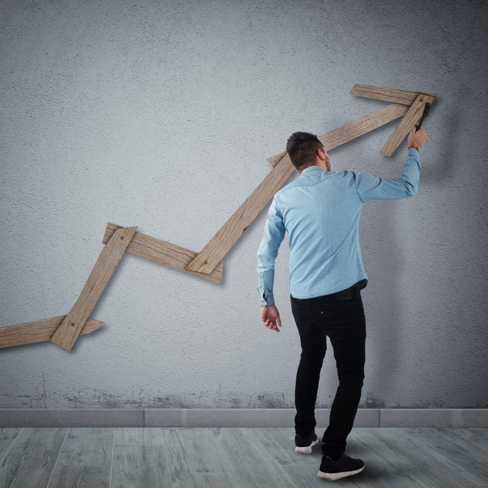 Strategies for Revenue Maximization