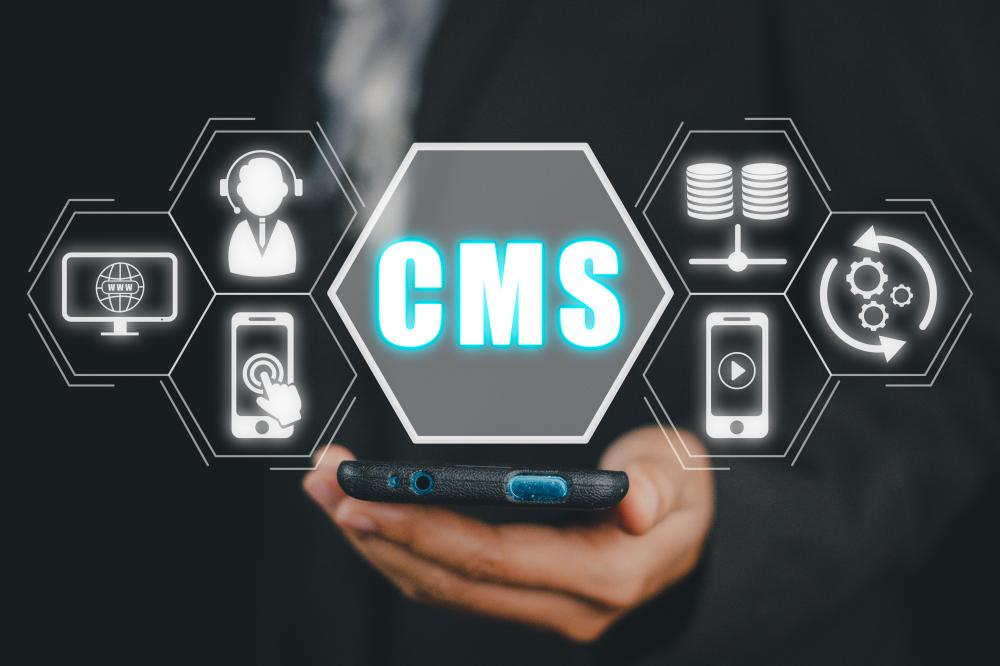 Real-World Applications of Content Manager Systems