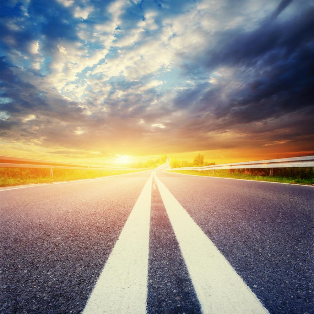 Building Trust and Authority Online