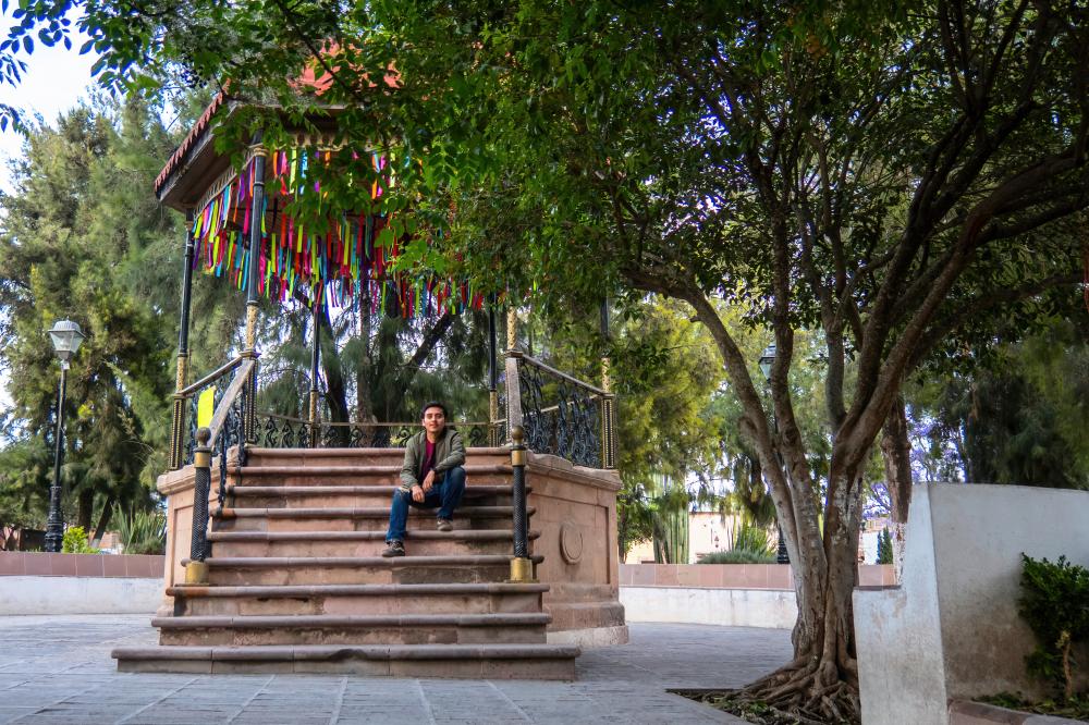 How AI Revolutionizes Posicionamiento Local Mexico