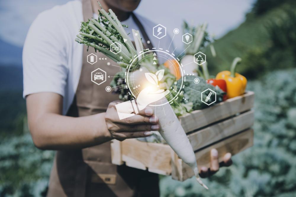 ¿Cómo puedes mejorar el Trafico Organico En Google?