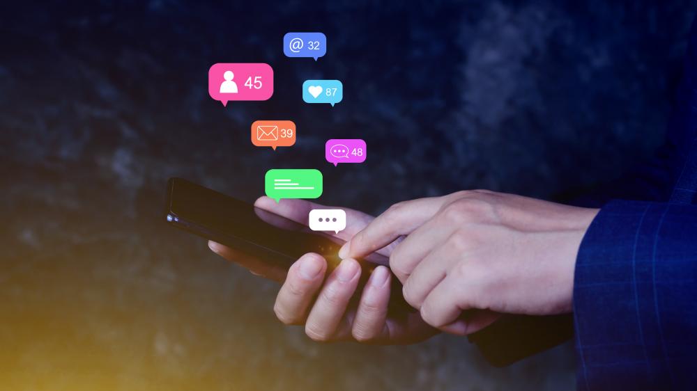 Key Features to Look For