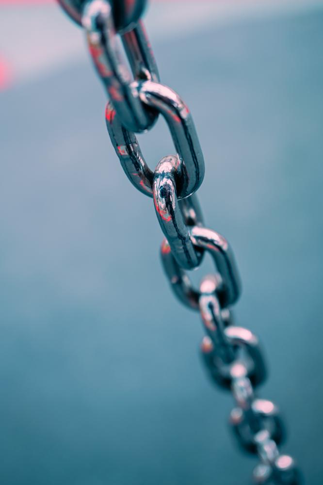 Why Domain Authority Matters in the Domain Market