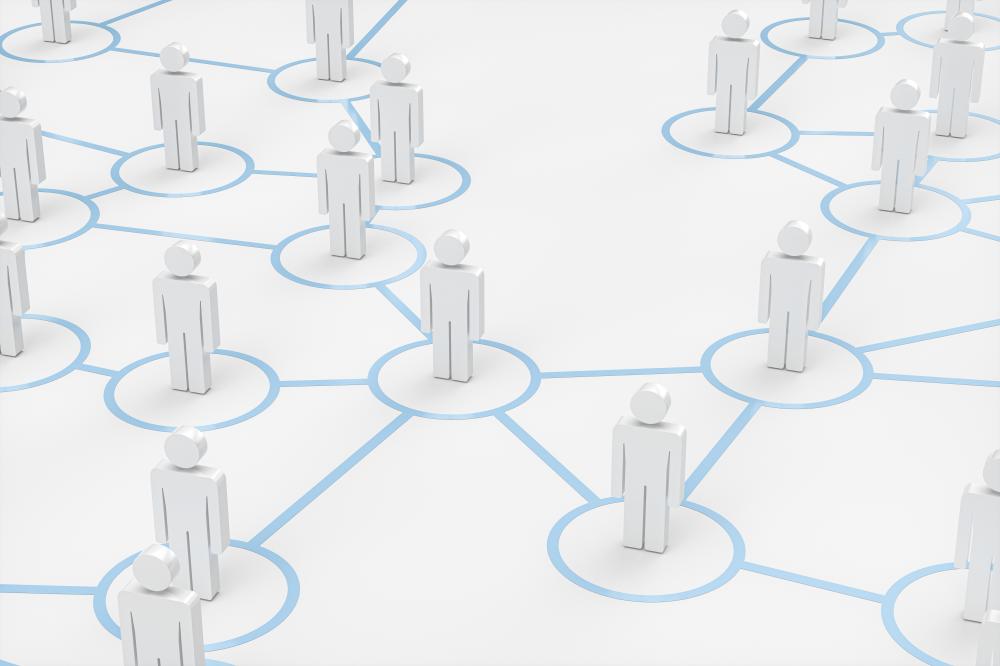 Identifying High Domain Authority Backlinks