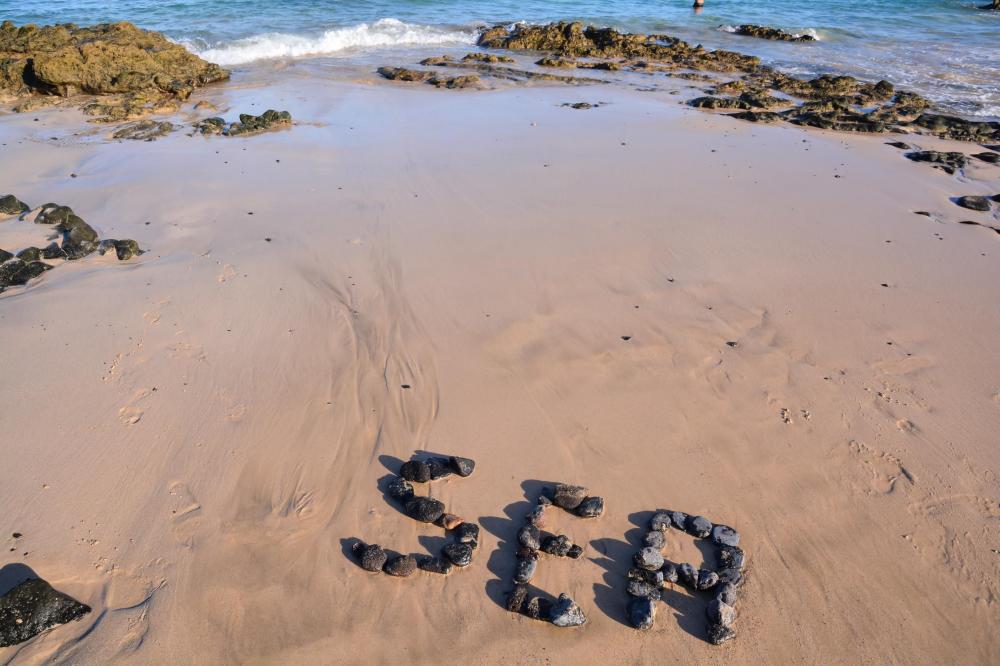 What Differentiates Local SEO Gold Coast?