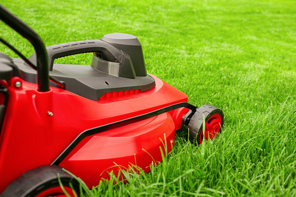 Essential Tips for Year-Round Lawn Care