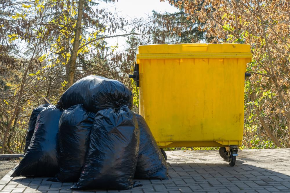 What Qualifies as an SEO Services For Garbage Removal Companies Emergency?