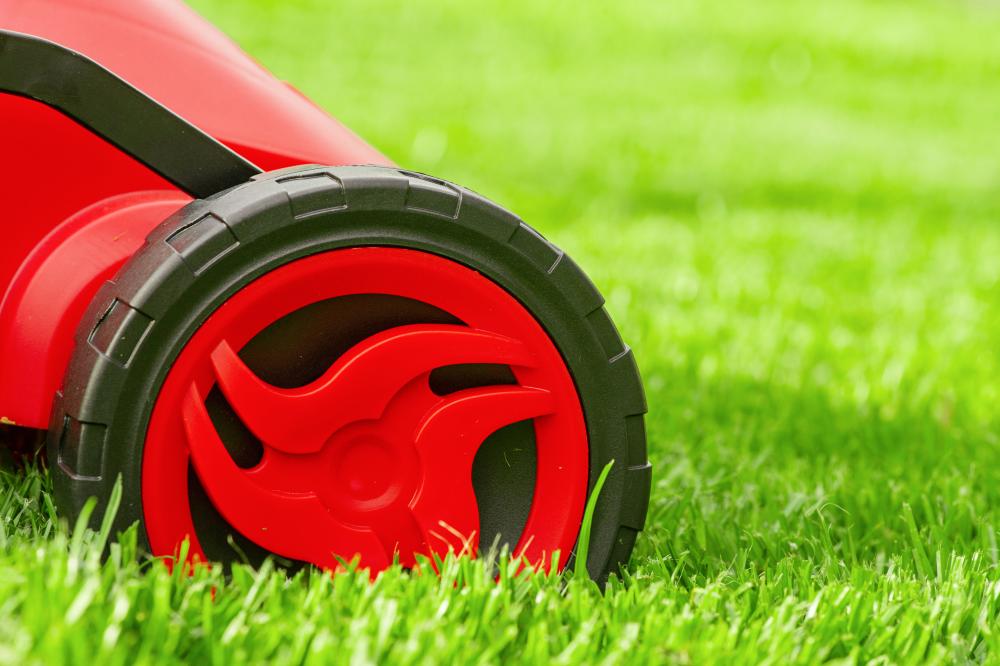 The Art of Lawn Mowing Surrey
