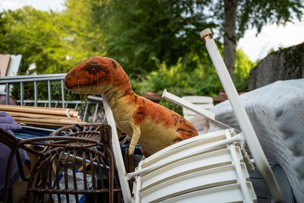 What Makes an Expert SEO Company for Junk Removal Companies?