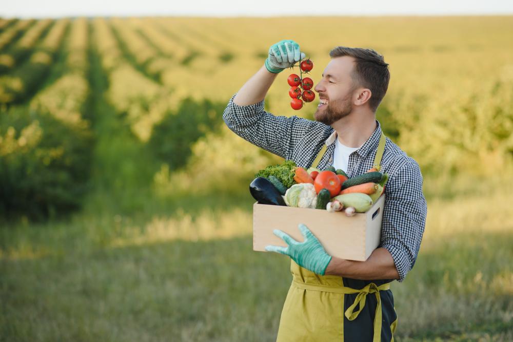 Benefits of Organic SEO