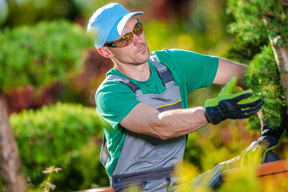 Innovative Approaches and Green Solutions