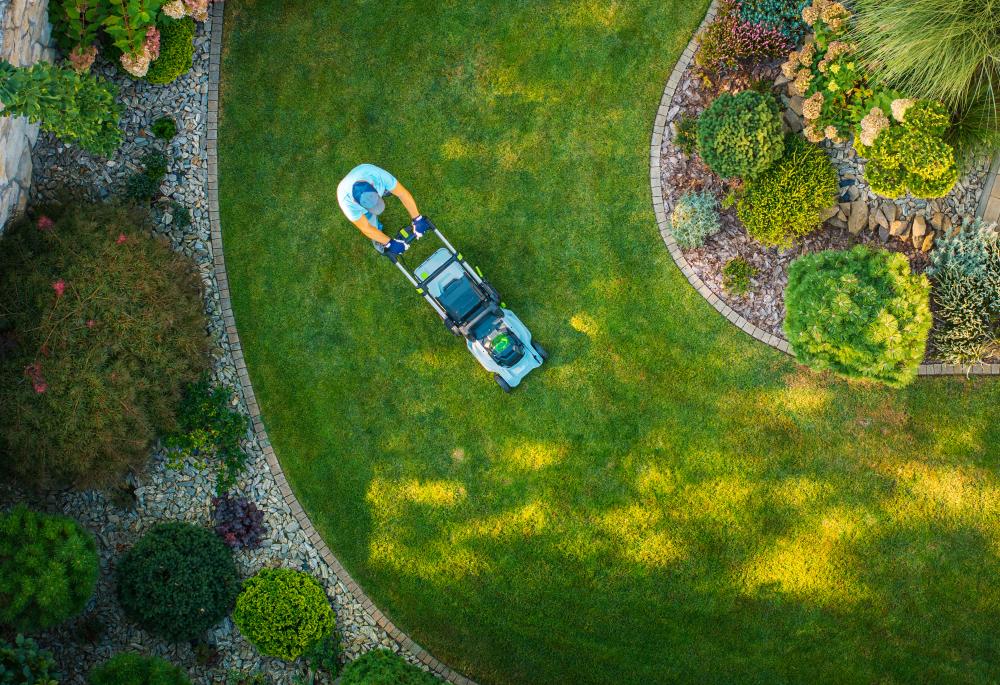 Services Offered: Transforming Outdoor Potential