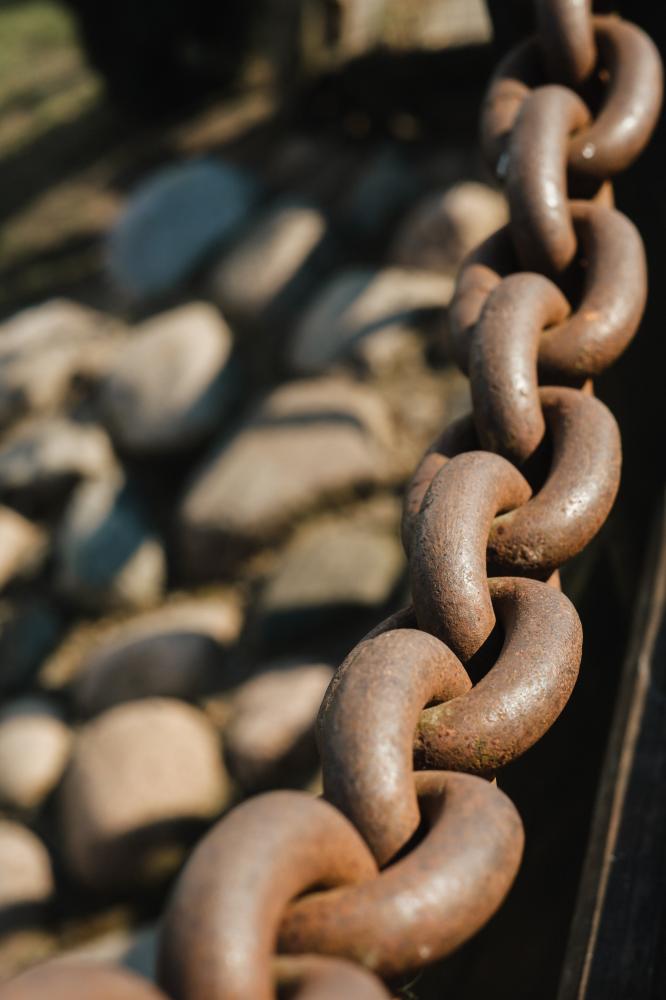 Achieving Local SEO Success: Step-by-Step