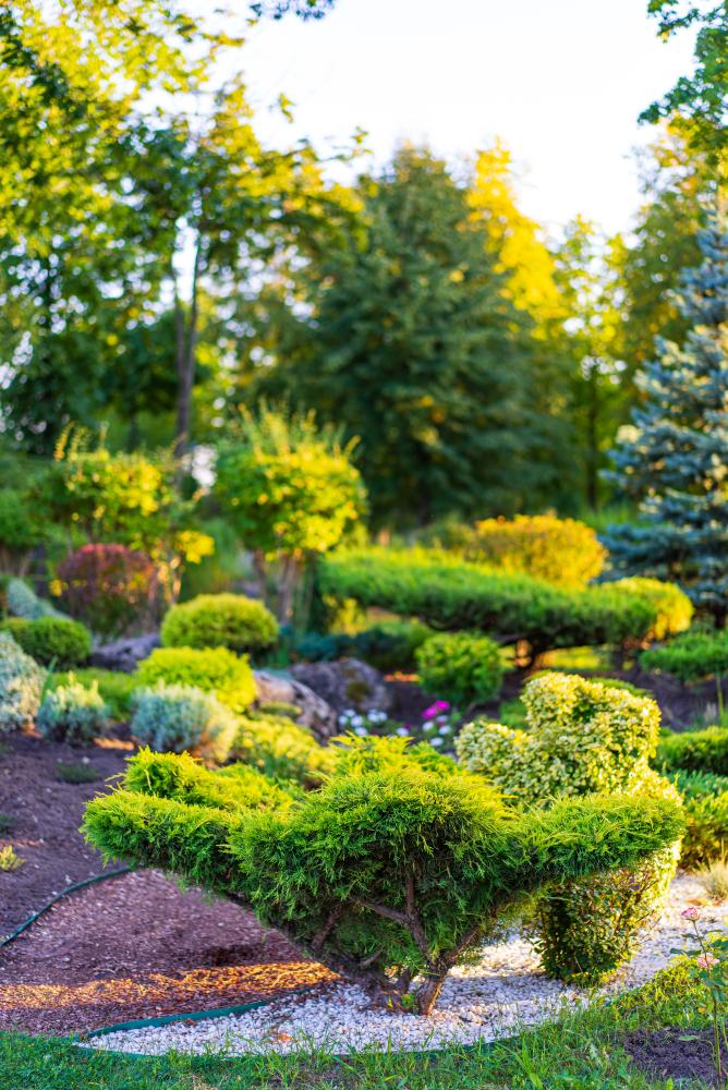 Holistic Landscape Maintenance Solutions