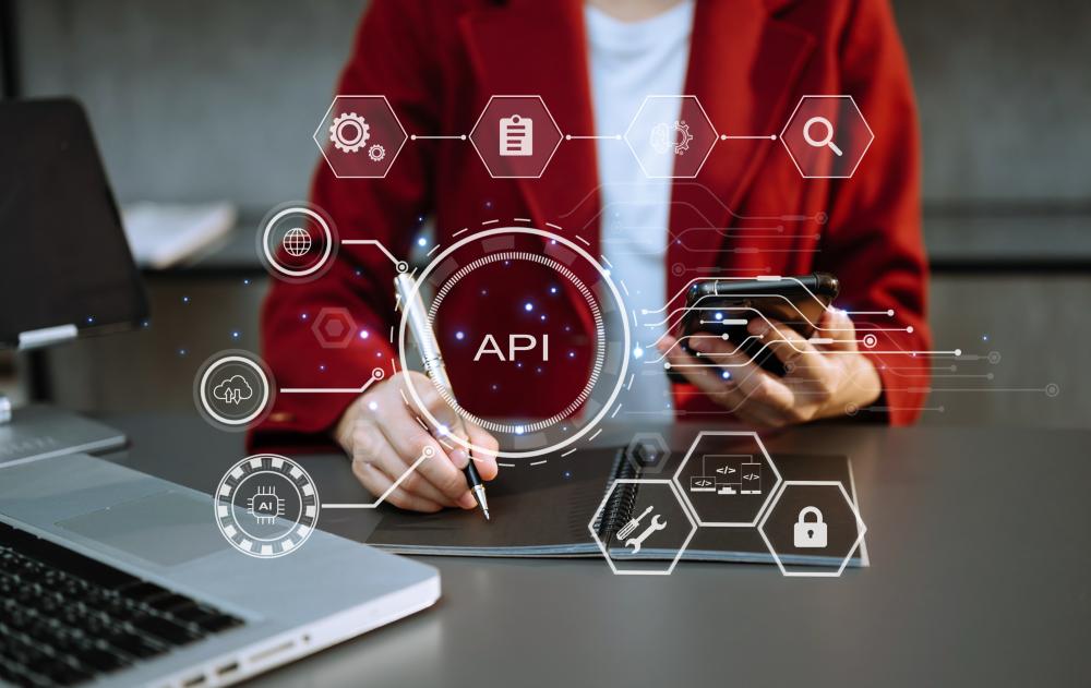 Why Choose Third-Party API Developers?