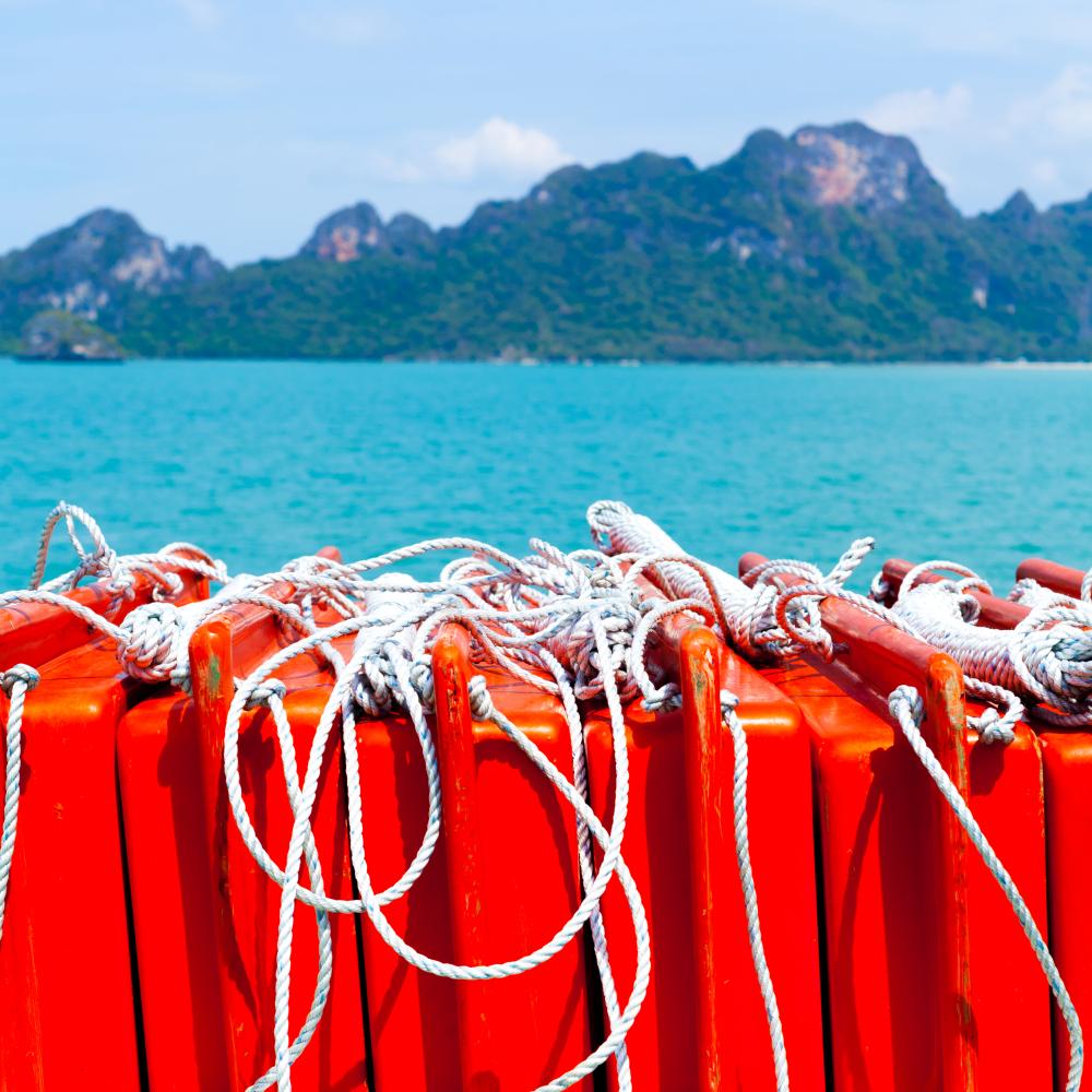 Why Choose an Offshore SEO Company?