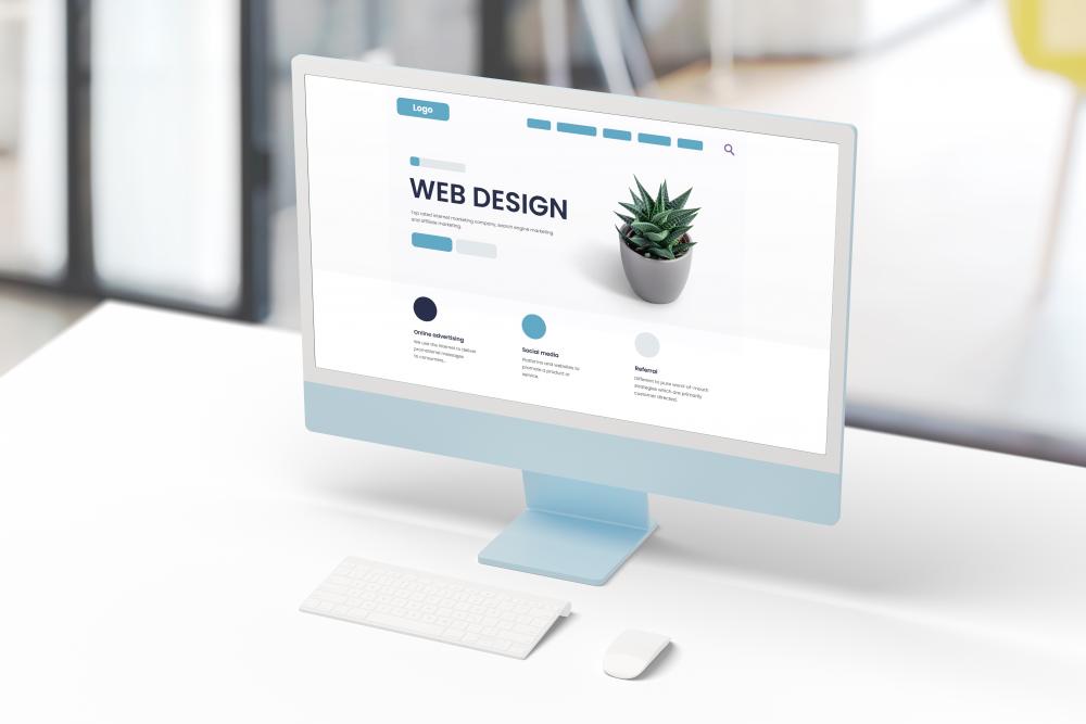 Understanding the Importance of Professional Web Design