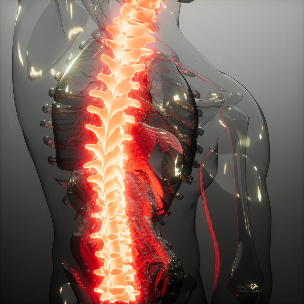 What to Expect from Stem Cell Therapy For Spinal Cord Injury
