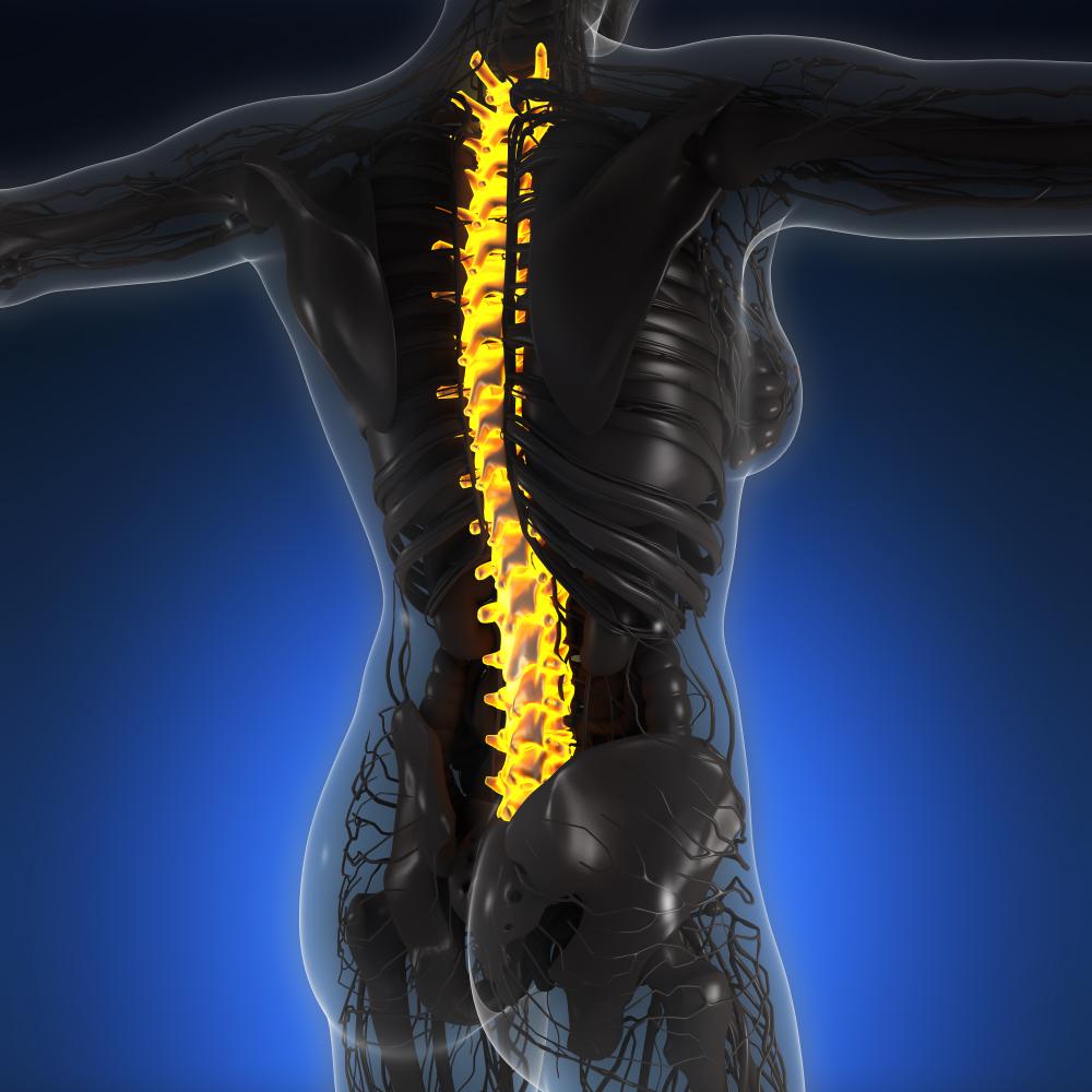The Chiropractic Approach to Herniated Discs