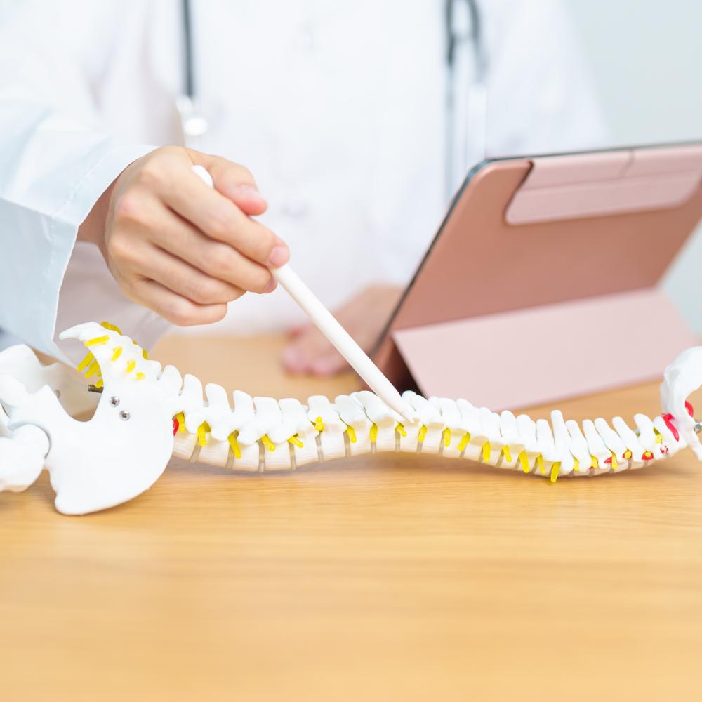 Comprehensive Care at North Florida Chiropractic Physical Therapy