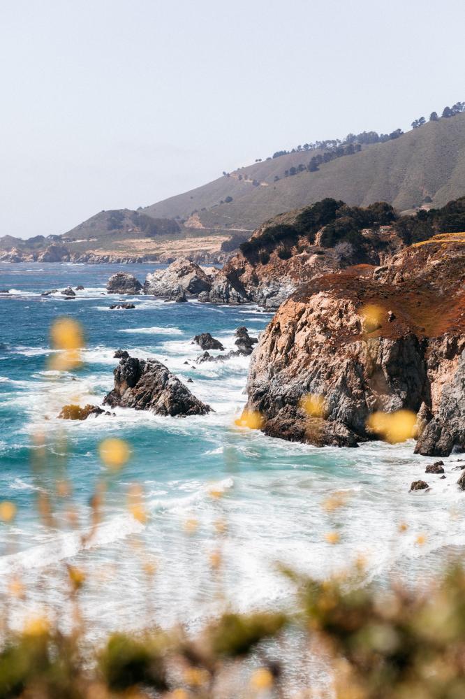 Common Issues with Wolf Appliances