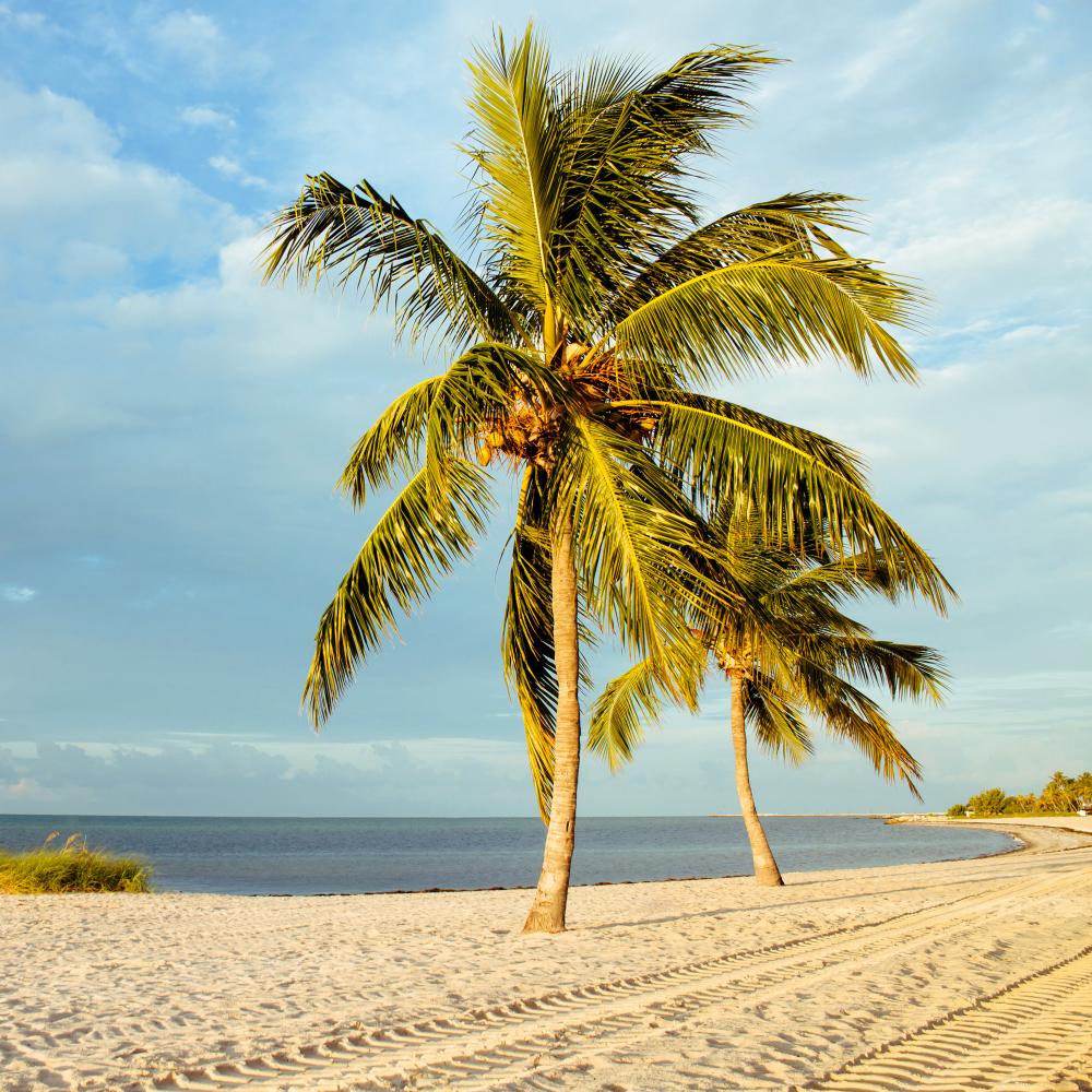 Building a Supportive Community in Rehab Palm Beach County