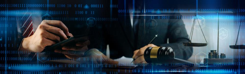 Combating Cybercrime