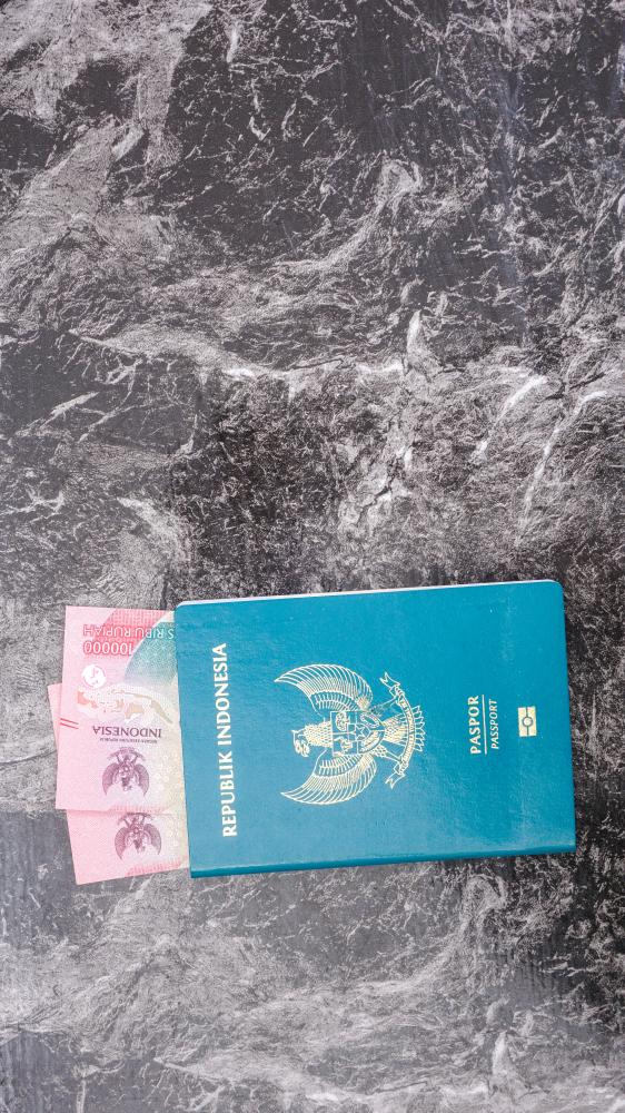 Types of Visas and Their Importance