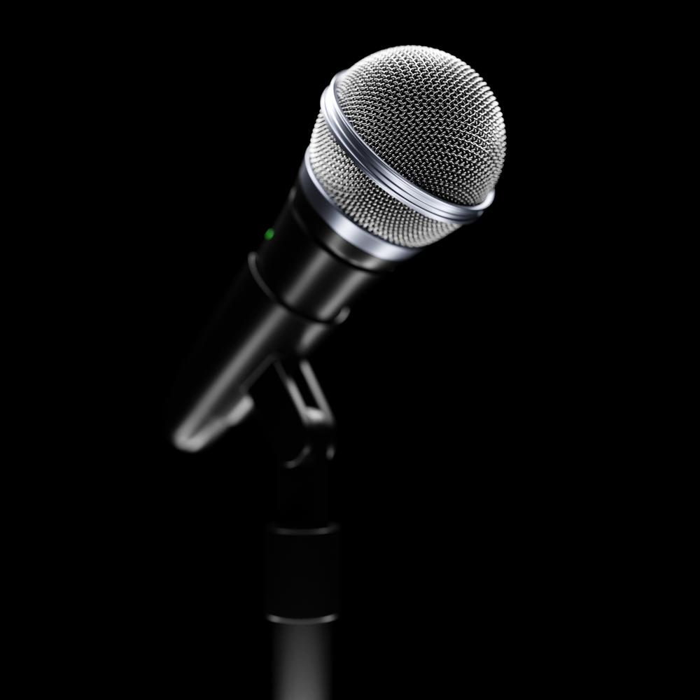 The Impact of Virtual Learning on Public Speaking